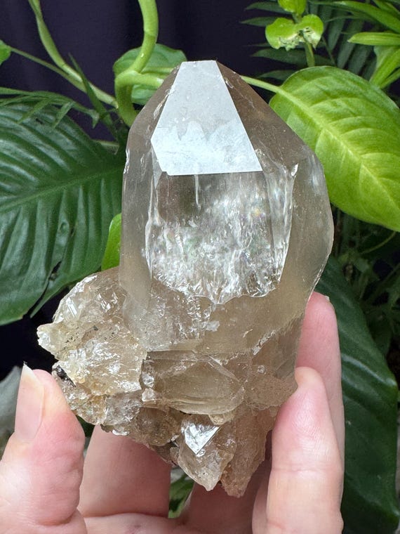 Beautiful North Carolina Quartz~Ex Terry Ledford collection~Ledford’s Minerals