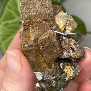 Siderite into Limonite With Calcite, Mica, and Red Rutile