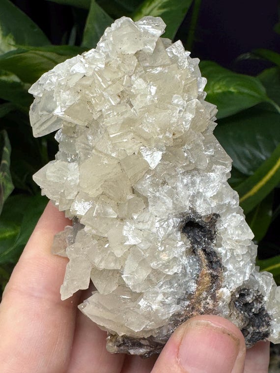 Smithsonite Cluster~Tsumeb, SW Africa~Ledford’s Minerals