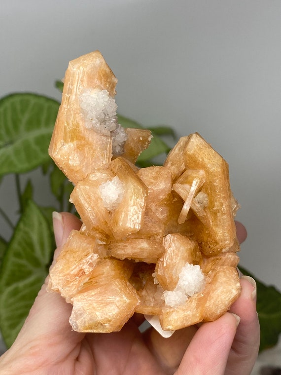 Stilbite with Smoky Quartz