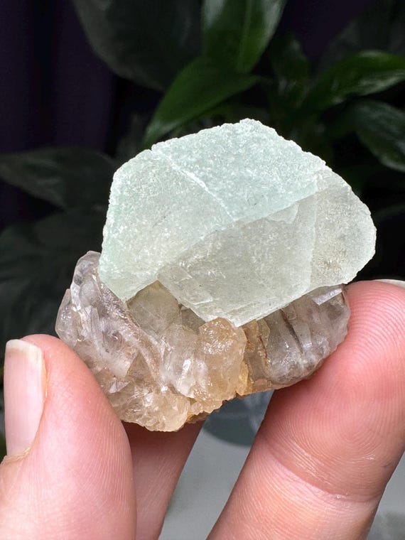 Fine Fluorite~Riemvasmaak~Africa~Ledford’s Minerals