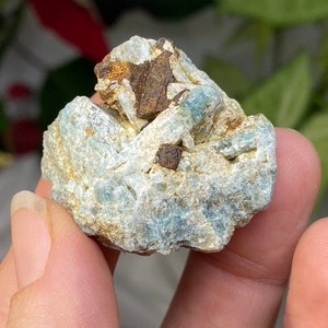 North Carolina Beryl Cluster with Limonite