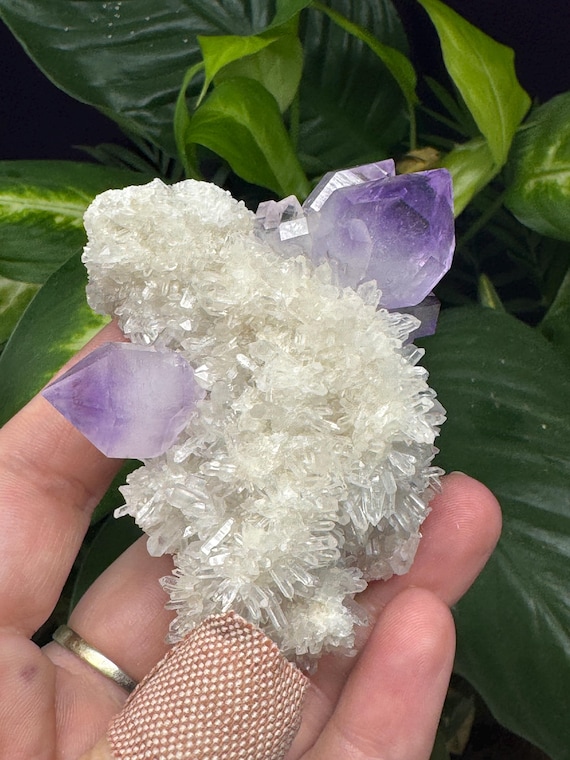 Amethyst with Druzzy Crystals-Jackson's Crossroads Amethyst Mine-Wilkes County Georgia-Crystalline Dream Minerals - Ledfords Minerals