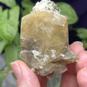 Calcite with Muscovite, and Albite