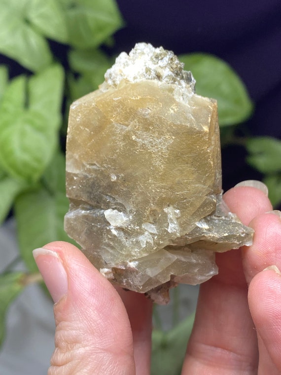 Calcite with Muscovite, and Albite