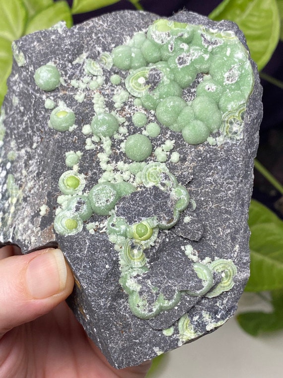 Vibrant Lustrous Arkansas Wavelite~Nature Made Goods~Ledford's Minerals