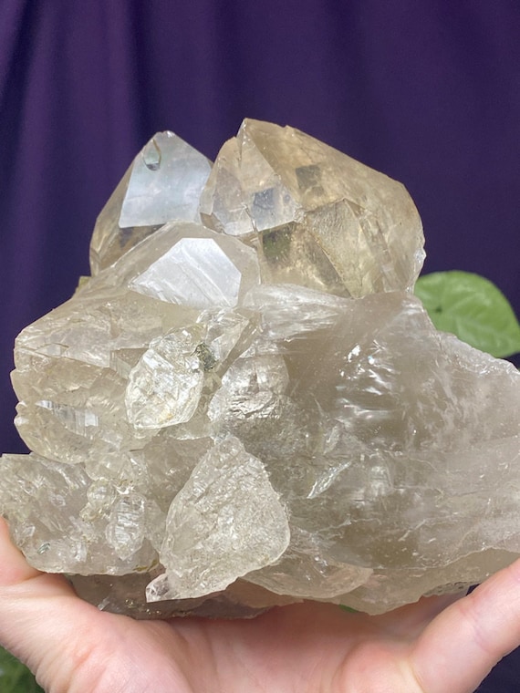 Beautiful Large North Carolina Smoky Quartz with Siderite and Rutile