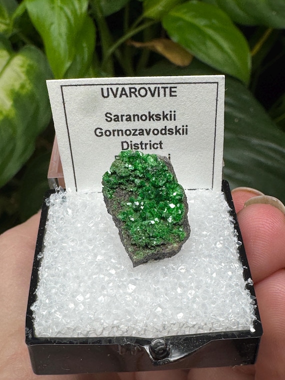 Vibrant Russia Uvarite Garnet Thumbnail~Crystalline Dream Minerals~Ledford's Minerals