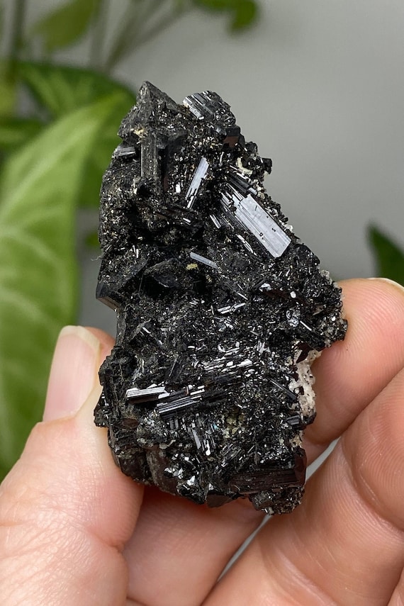 Family Collected North Carolina Tourmaline with Albite