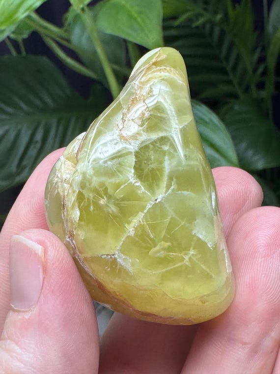 Polished Prehnite~Wave Hill, Northern Territory~Australia~Nature Made Goods~Ledford’s Minerals
