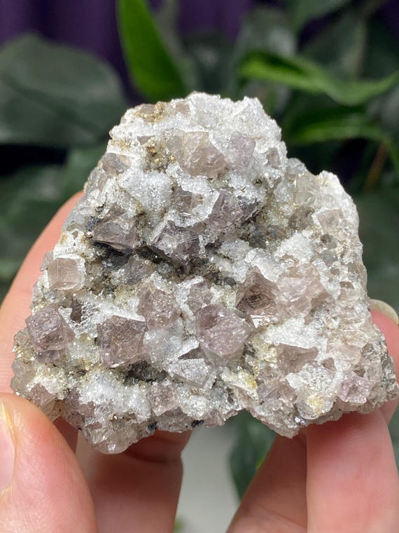 Diana Maria Fluorite with Quartz Overgrowth