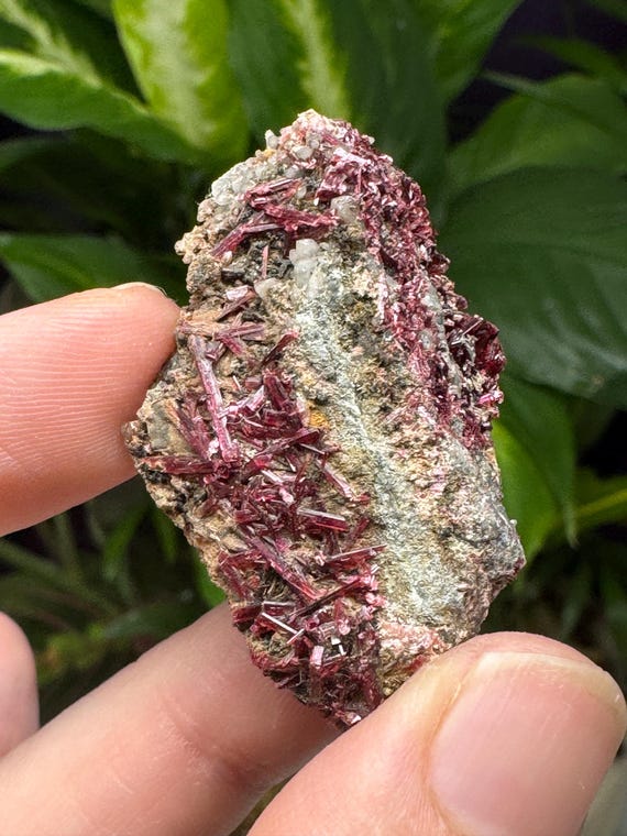 Erythrite~Morocco~Ledford’s Minerals