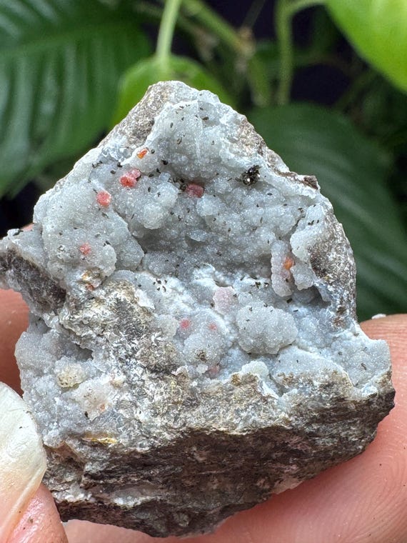 Quartz after Wulfenite Pseudomorph on Chalcedony~3 x 2.6cm~The Finch Mine, Gila County, Arizona~Ledford’s Minerals
