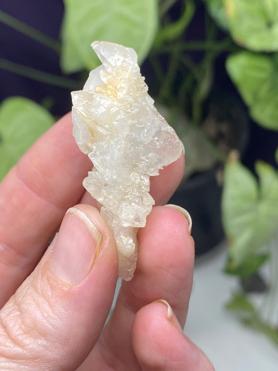 Etched Kentucky Dogtooth Calcite Cluster