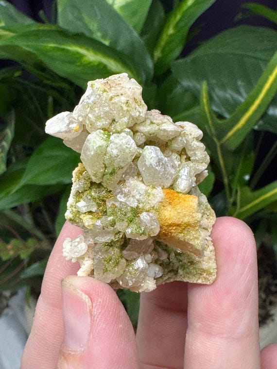 Cerrusite with Duftite~Tsumeb, Namibia~Ledford’s Minerals~Old finds