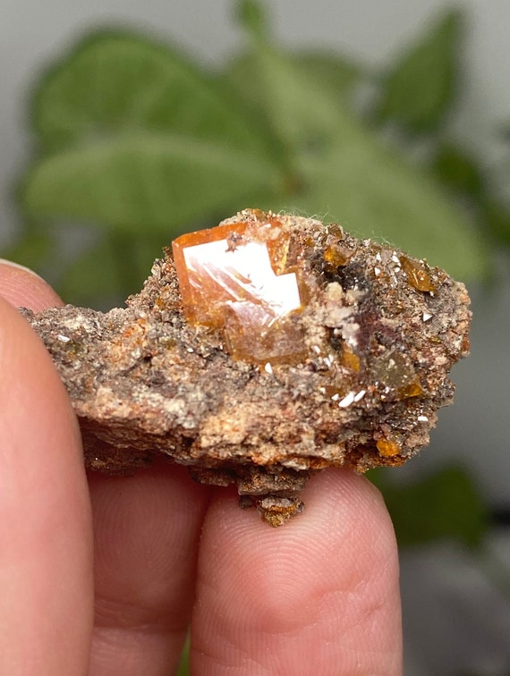 Vibrant Orange Red Cloud Wulfenite Cluster