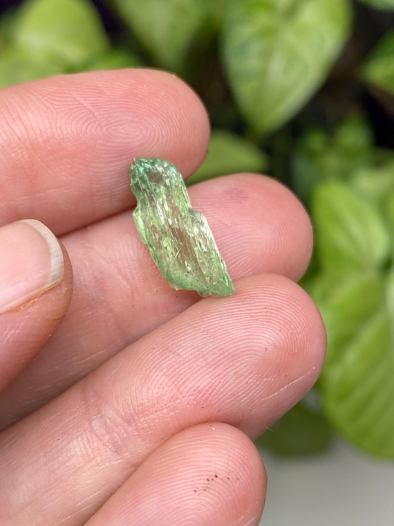 Rare Chromium Green North Carolina Hiddenite Crystal