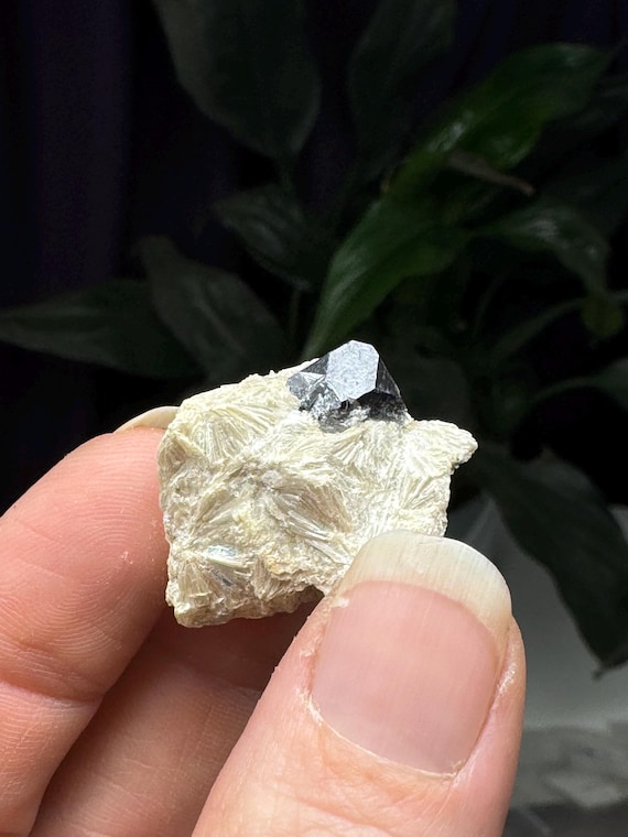 Graves Mountain Blue Kyanite and Pyrophyllite with Rutile~Ex Terry Ledford Collection