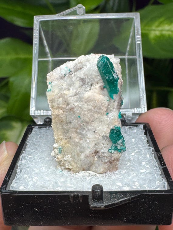 Rare Find~Dioptase and Calcite Thumbnail~Argentina~Crystalline Dream Minerals