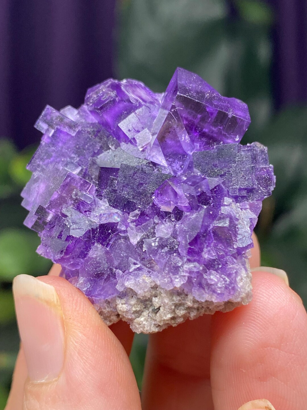 Hasties Quarry Illinois Fluorite With UV Reactive Petroleum