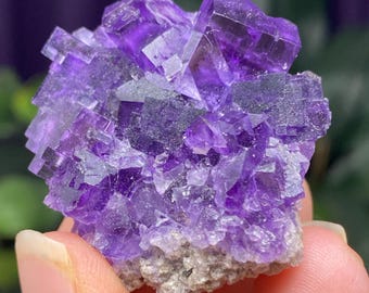 Purple Hasties Quarry Illinois Fluorite With UV Reactive Petroleum