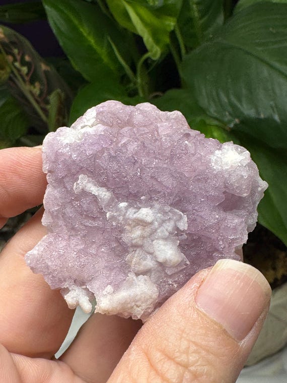 Purple Tetrahedral Fluorite La Fluorita Dulcita~Tombstone Arizona~Ledford's Minerals