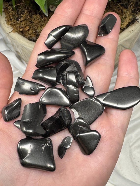 Tumbled Elite Colombian Shungite~Ledford’s Minerals