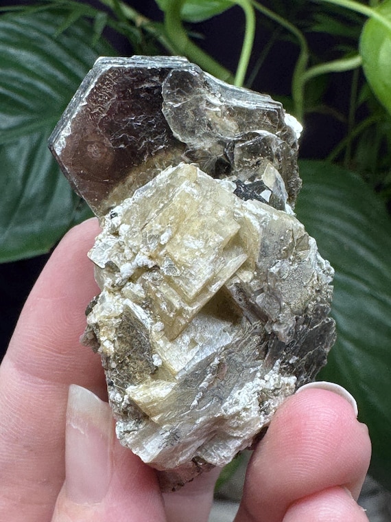 Siderite, Calcite and Green Mica~NAEM~Hiddenite, North Carolina~Ledford’s Minerals