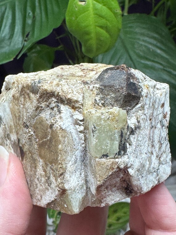 Beryl and Almadine Garnet~Mitchell County NC~Old Collection~Nature Made Goods~Ledfords Minerals