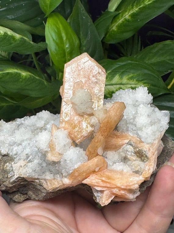 Aesthetic Stilbite with Smoky Quartz~India~Nature Made Goods~Ledford’s Minerals