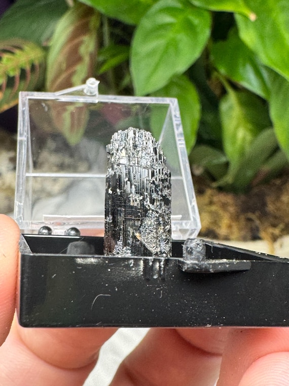 Tourmaline Thumbnail ~North American Emerald Mine~Hiddenite North Carolina~Ledford’s Minerals