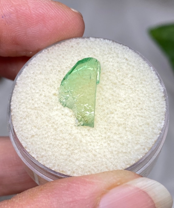 Rare Chromium Green North Carolina Bicolor Hiddenite Crystal