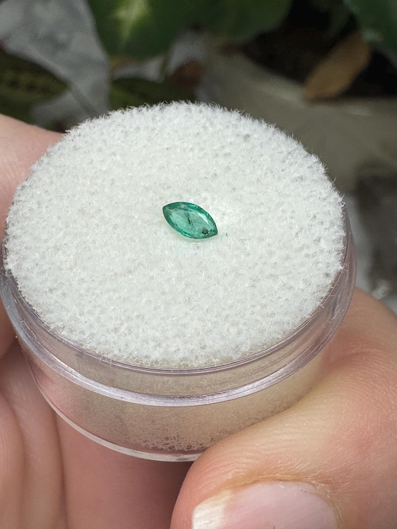 Emerald Gemstone ~North Carolina Crabtree Emerald Mine~Ex Terry Ledford Collection~Crystalline Dream Minerals-Ledford’s Minerals