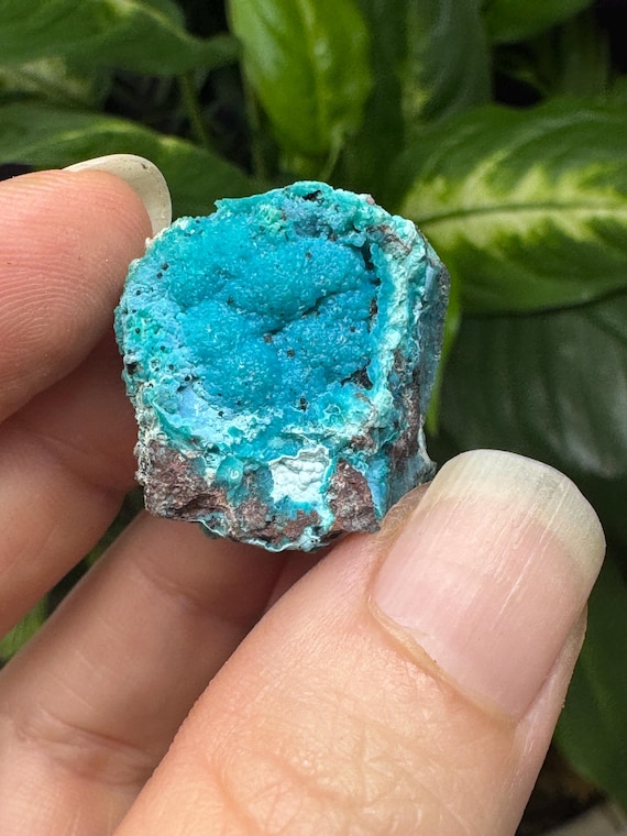 Chrysocolla~The Planet Mine~Arizona~Nature Made Goods~Ledford’s Minerals