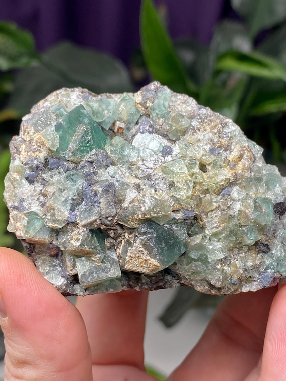 Emerald Green Diana Maria Fluorite on Matrix