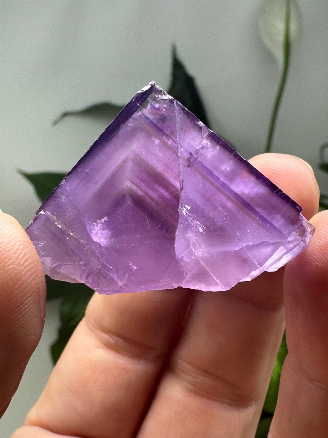 Hasties Quarry Illinois Fluorite With UV Reactive Petroleum