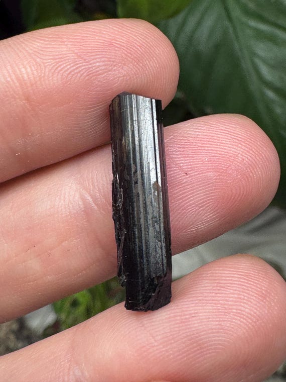 Tourmaline~NAEM~Hiddenite, NC~Ledford’s Minerals