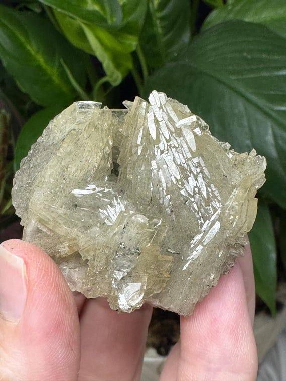 Lustrous Barite with Galena and Chalcopyrite~Morocco~Nature Made Goods~Ledfords Minerals