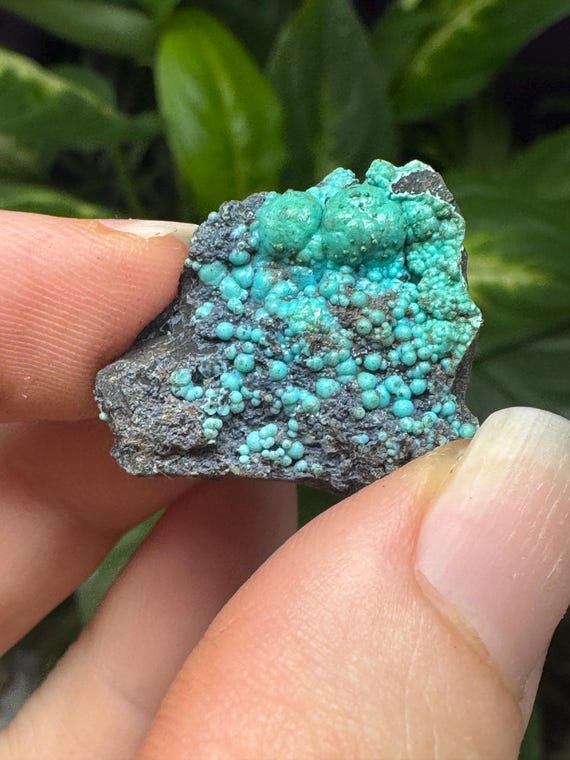 Chrysocolla~The Planet Mine~Arizona~Nature Made Goods~Ledford’s Minerals