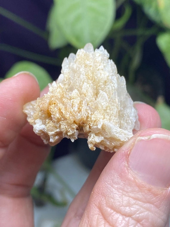 Etched Kentucky Dogtooth Calcite Cluster