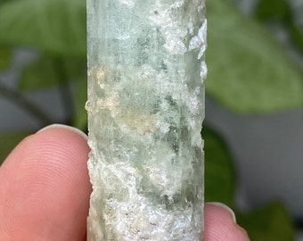 North Carolina Beryl var. Aquamarine Crystal