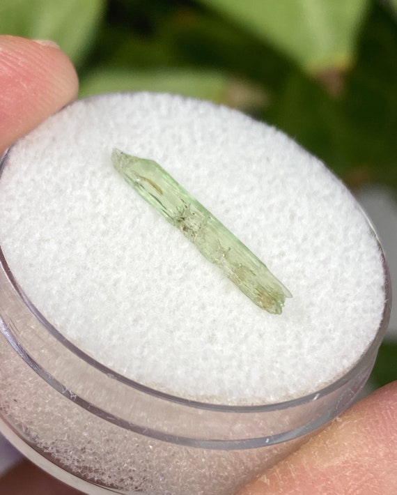 Rare Chromium Green North Carolina Hiddenite Crystal