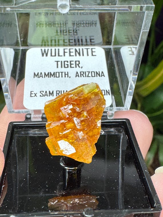 Vibrant Orange~Mammoth Arizona~Wulfenite Cluster Thumbnail~Nature Made Goods~Ledfords minerals
