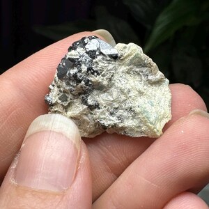 Puede incluir: Una pequeña roca gris rugosa con un mineral negro cristalino incrustado.