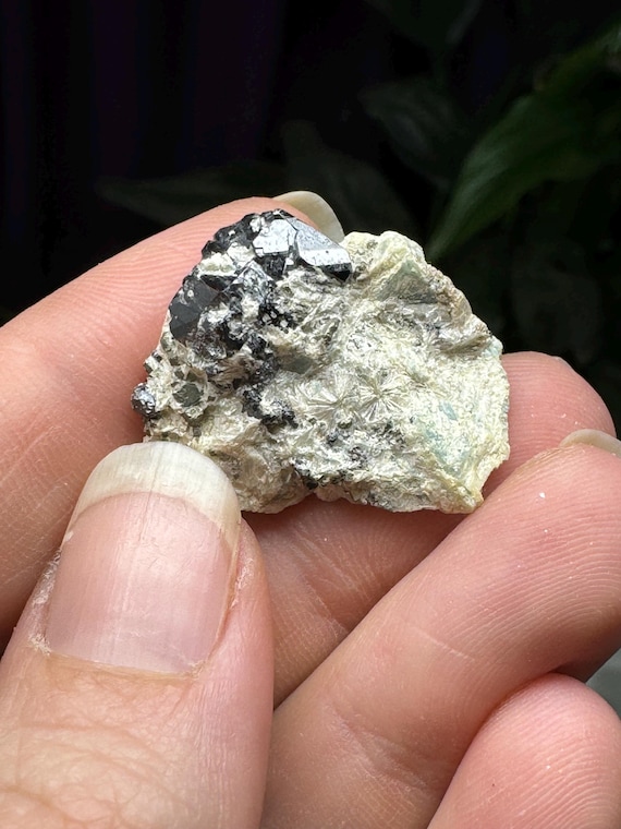 Graves Mountain Blue Kyanite and Pyrophyllite with Rutile~Ex Terry Ledford Collection