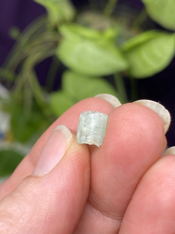 North Carolina Beryl var. Aquamarine