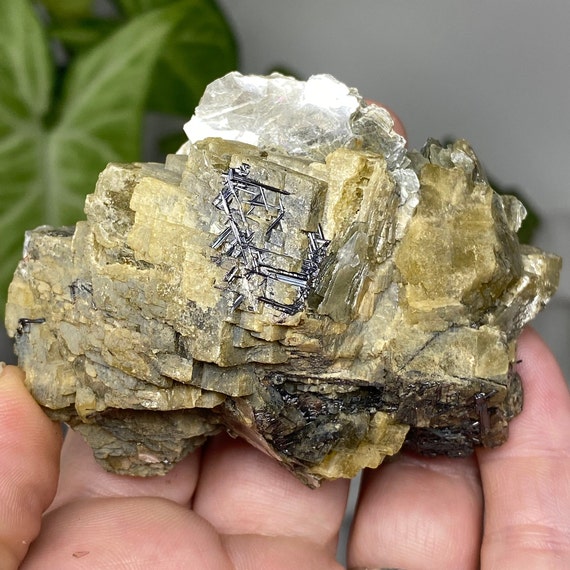Siderite With Mica and Rutile Cluster