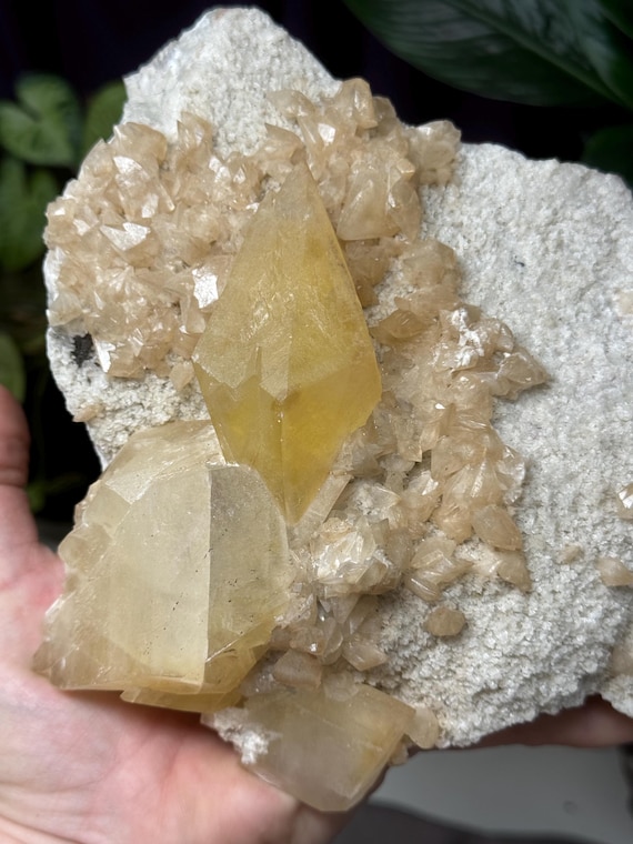 Georgetown Quarry Scott Co KY Galena, Calcite, and Barite~Ledford’s Minerals