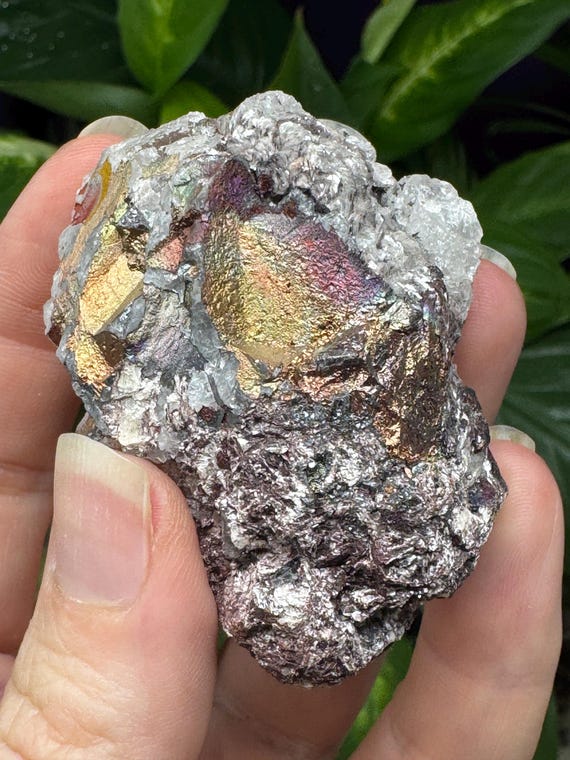 Graves Mountain Rutile in Quartz with Iridescent Hematite ~Ex Terry Ledford Collection~Nature Made Goods~Ledford’s Minerals