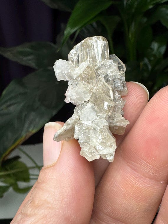 Cerrusite cluster~Tsumeb, Namibia~Ledford’s Minerals~Old finds